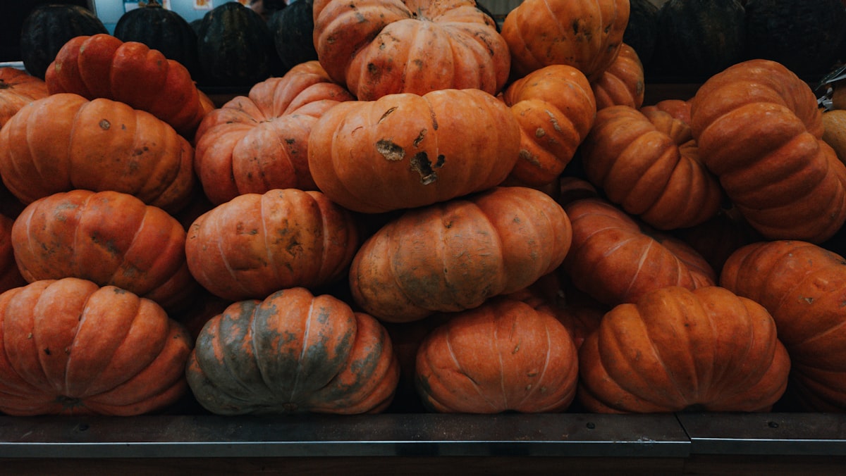 Zuppa di zucca autunnale con erbe aromatiche
